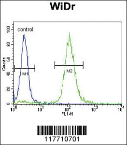 Anti-NTRK1 Rabbit Polyclonal Antibody