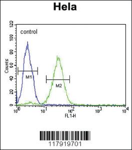 Anti-CREM Rabbit Polyclonal Antibody