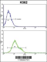 Anti-CFLAR Rabbit Polyclonal Antibody