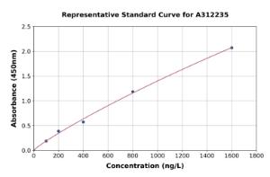 Representative standard curve for Mouse Kisspeptin ELISA kit (A312235)