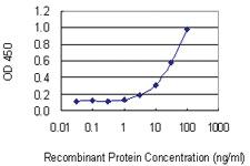 Anti-SSSCA1 Mouse Monoclonal Antibody [clone: 2H4]