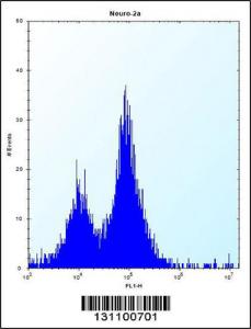 Anti-PEX14 Rabbit Polyclonal Antibody