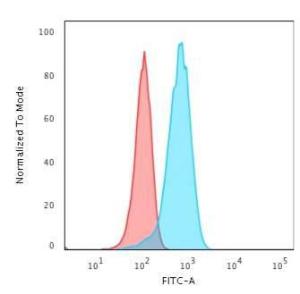 Flow cytometric analysis of T98G cells using Anti-PGP9.5 Antibody [rUCHL1/775] followed by Goat Anti-Mouse IgG (CF&#174; 488) (Blue). Isotype Control (Red)