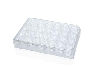 Costar® 24-well flat-bottom plate, tissue culture-treated