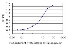 Anti-SOX21 Mouse Monoclonal Antibody [clone: 2G10]