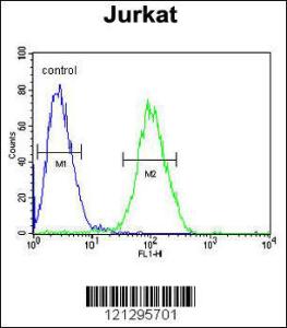 Anti-RPS3A Rabbit Polyclonal Antibody (AP (Alkaline Phosphatase))