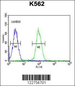 Anti-AKR1C3 Rabbit Polyclonal Antibody (PE (Phycoerythrin))