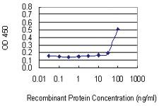 Anti-TFDP2 Mouse Monoclonal Antibody [clone: 2E6]