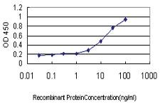 Anti-STYK1 Mouse Monoclonal Antibody [clone: 3A8]