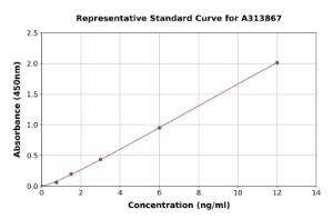 Representative standard curve for human ENPP3/B10 ELISA kit (A313867)