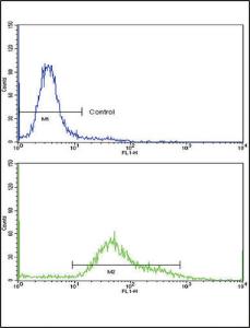 Anti-TFRC Rabbit Polyclonal Antibody