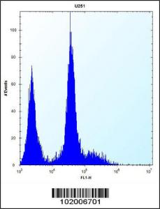 Anti-PDGFRA Rabbit Polyclonal Antibody