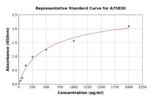 Representative standard curve for Mouse SESN2 ml Sestrin-2 ELISA kit (A75830)