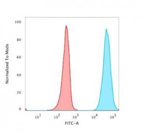 Flow cytometric analysis of live Jurkat cells using Anti-CD47 Antibody [B6H12.2] followed by Goat Anti-Mouse IgG (CF&#174; 488) (Blue). Isotype Control (Red)