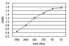 Anti-PTK2B Antibody Pair