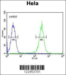 Anti-ERCC6 Rabbit Polyclonal Antibody (AP (Alkaline Phosphatase))