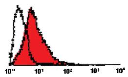 Anti-FASLG Rat Monoclonal Antibody [clone: H11]