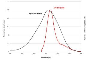 Tide quencher/trade 2076 1 mg