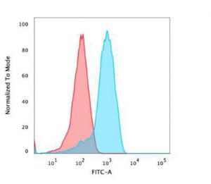 Flow cytometric analysis of PFA fixed Jurkat cells using Anti-CD47 Antibody [B6H12.2] followed by Goat Anti-Mouse IgG (CF&#174; 488) (Blue). Isotype Control (Red)