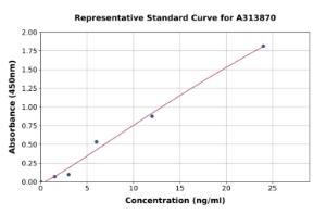 Representative standard curve for human EG-VEGF ELISA kit (A313870)