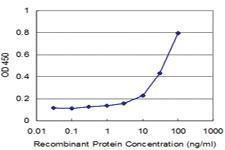 Anti-RPS27A Mouse Monoclonal Antibody [clone: 2G10]