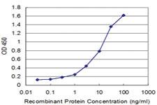 Anti-RPS29 Mouse Monoclonal Antibody [clone: 3G9]