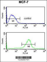 Anti-NIP7 Rabbit Polyclonal Antibody (APC (Allophycocyanin))