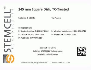 245 mm Square Dish, Tissue Culture-Treated