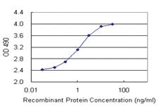 Anti-IL1RN Antibody Pair