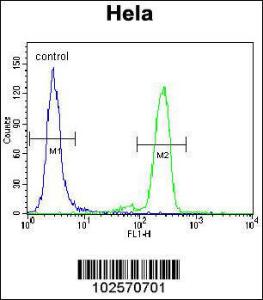 Anti-PML, Sumoylation Site Rabbit Polyclonal Antibody (AP (Alkaline Phosphatase))