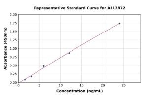 Representative standard curve for human P2X1 ELISA kit (A313872)