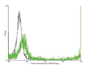 Anti-MYD88 Mouse Polyclonal Antibody