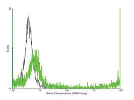 Anti-MYD88 Mouse Polyclonal Antibody