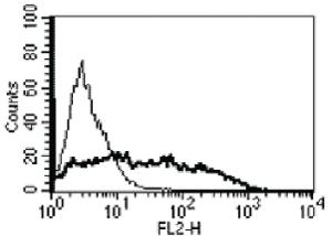 Anti-TNFRSF17 Rat Monoclonal Antibody [clone: Vicky-2]