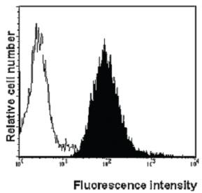 Anti-FAS Mouse Monoclonal Antibody [clone: 2R2]