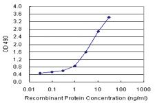 Anti-IL1RN Mouse Monoclonal Antibody (Biotin)