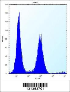 Anti-PSAPL1 Rabbit Polyclonal Antibody