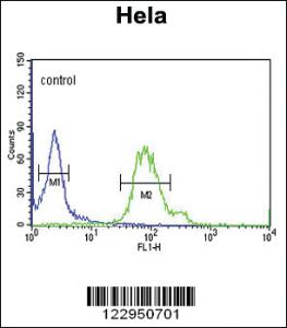 Anti-HTR1B Rabbit Polyclonal Antibody