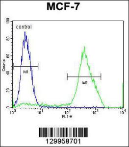 Anti-MBD3L3 Rabbit Polyclonal Antibody (AP (Alkaline Phosphatase))