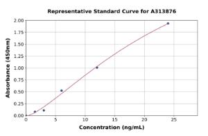 Representative standard curve for human Wnt3 ELISA kit (A313876)