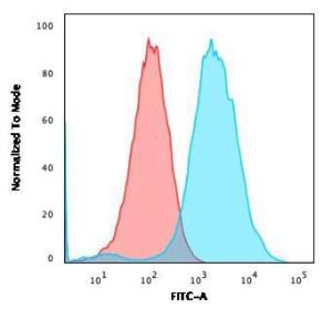 Flow cytometric analysis of MCF-7 cells using Anti-CD47 Antibody [CD47/3019] followed by Goat Anti-Mouse IgG (CF and #174; 488) (Blue). Isotype Control (Red)