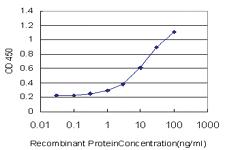 Anti-MR1 Mouse Monoclonal Antibody [clone: 5E9]