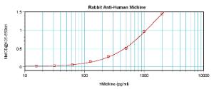 Sandwich ELISA: using 100 µl/well antibody solution, a concentration of 0.5 - 2.0 µg/ml of this antibody is required. This antibody, in conjunction with Biotinylated Anti-Human Midkine (XP-5230Bt) as a detection antibody, allows the detection of at least 0.2 - 0.4 ng/well of recombinant hMidkine.