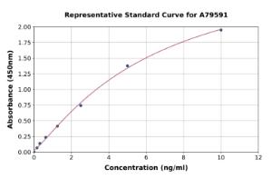 Representative standard curve for Human Osteopontin ELISA kit (A79591)