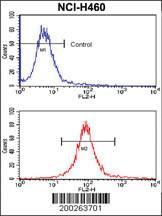 Anti-SOX2 Mouse Monoclonal Antibody