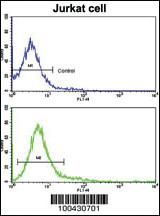 Anti-PTPRC Rabbit Polyclonal Antibody