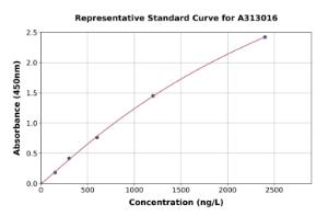 Representative standard curve for Human DNAJC12 ELISA kit (A313016)