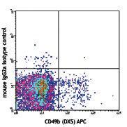 Anti-NK-1.1 Mouse Monoclonal Antibody [clone: PK136]