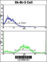 Anti-PTAR1 Rabbit Polyclonal Antibody (Biotin)