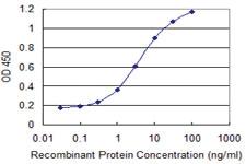 Anti-TMSB4Y Mouse Monoclonal Antibody [clone: 6G4]